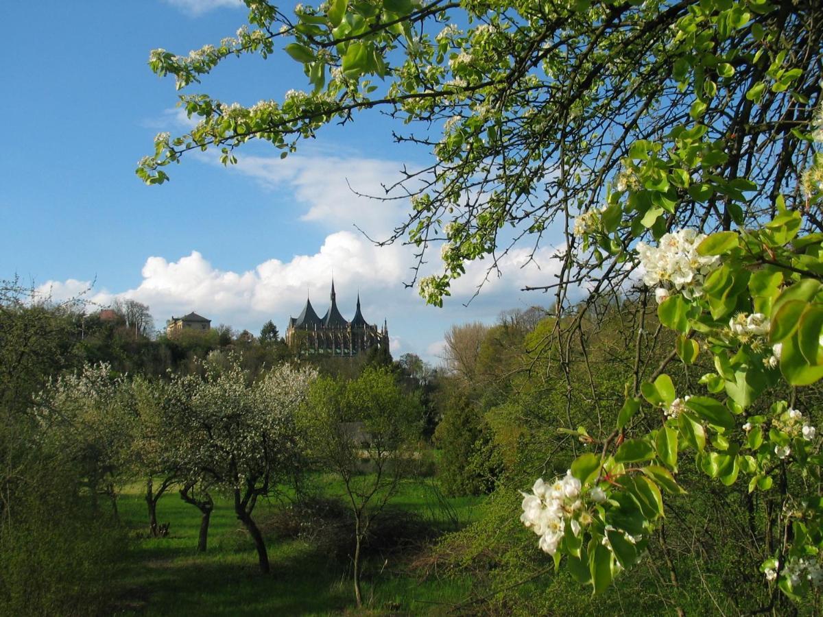 Penzion Art Kutná Hora Exterior foto